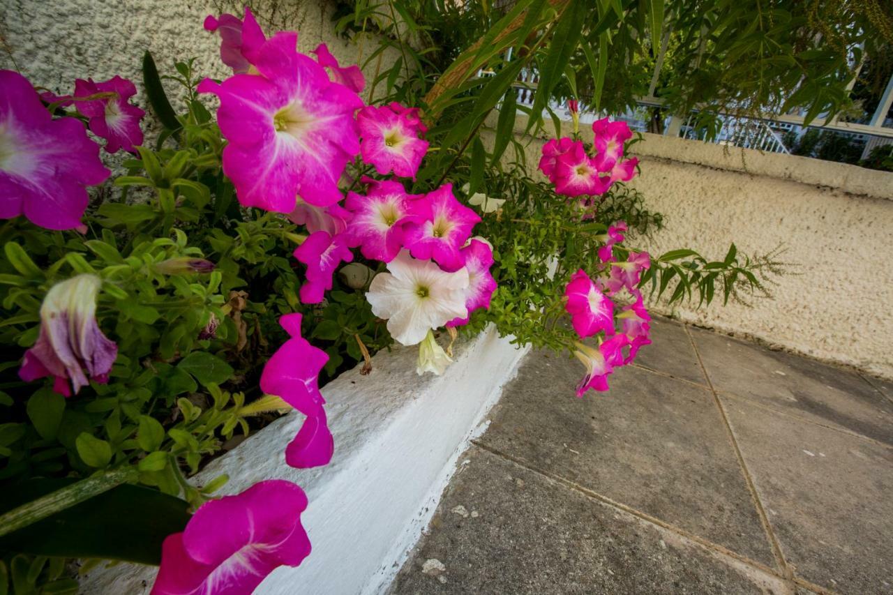 Marietta'S Townhouse Argostoli (Kefalonia) Exterior foto