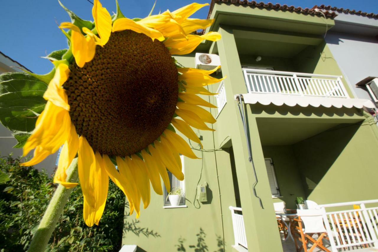 Marietta'S Townhouse Argostoli (Kefalonia) Exterior foto